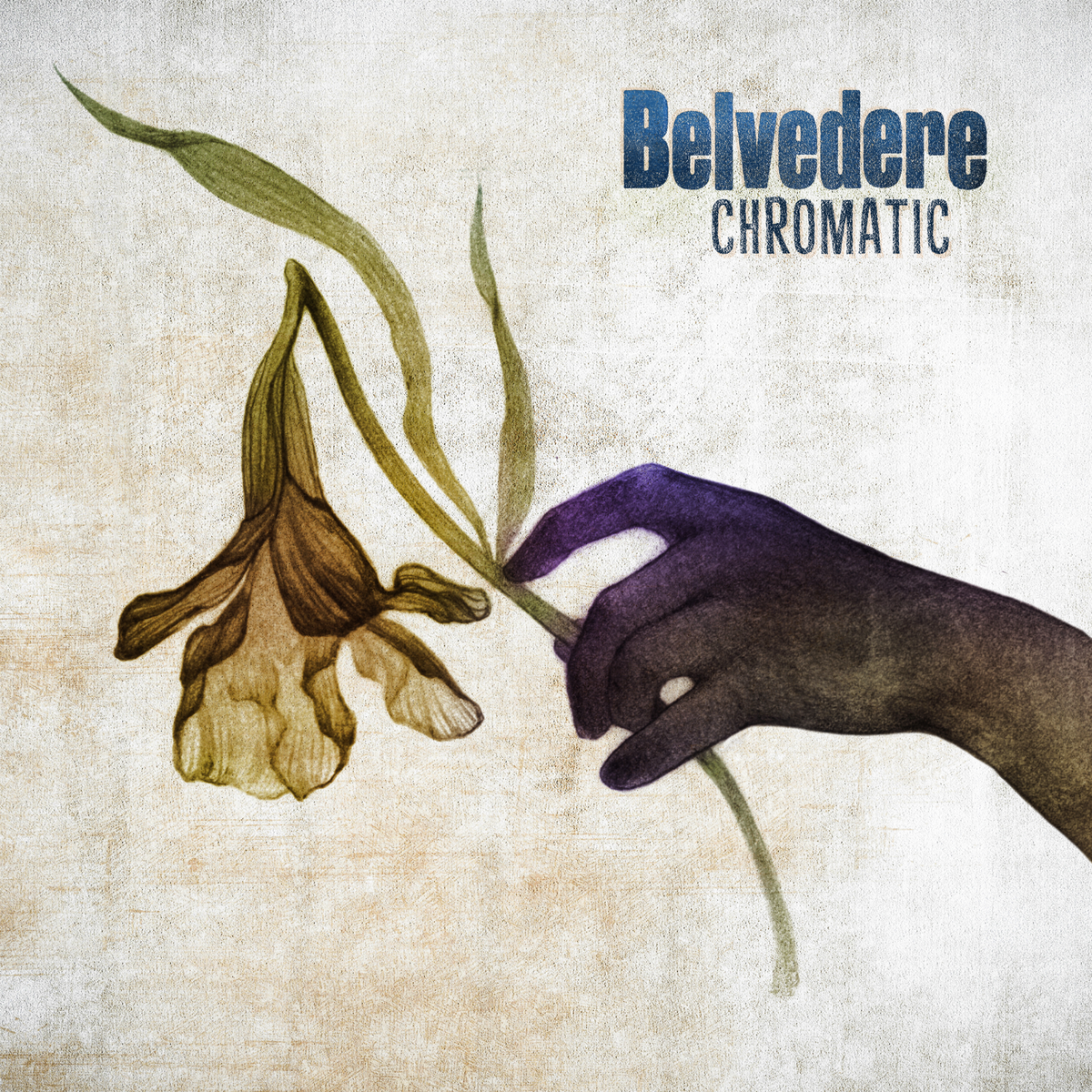 Belvedere drop new single 'Chromatic' just before album release!