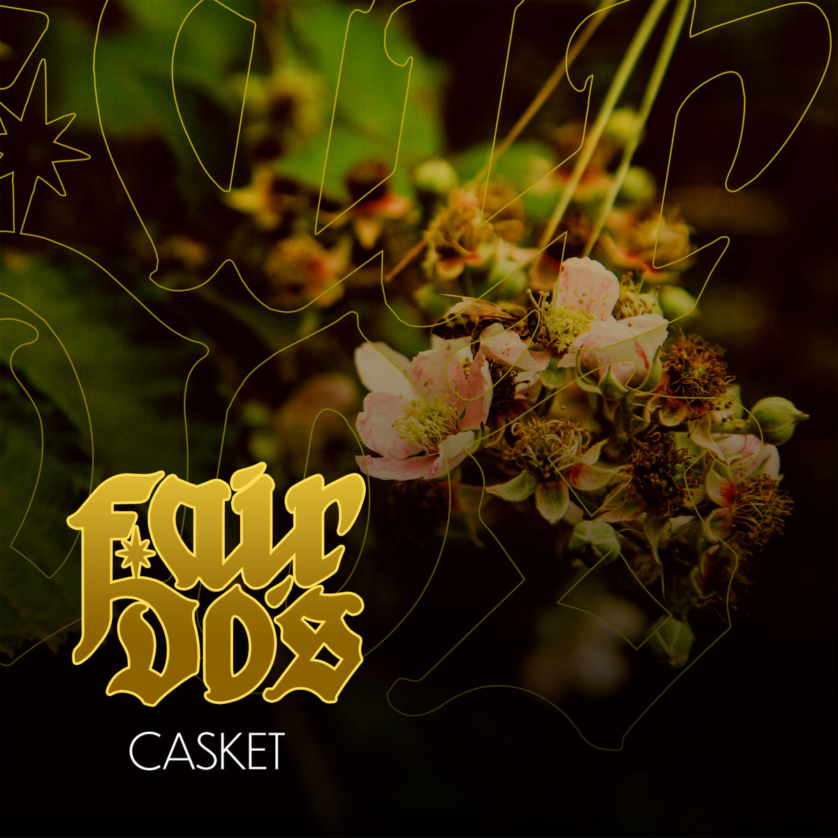 Fair Do's release new single 'Casket'