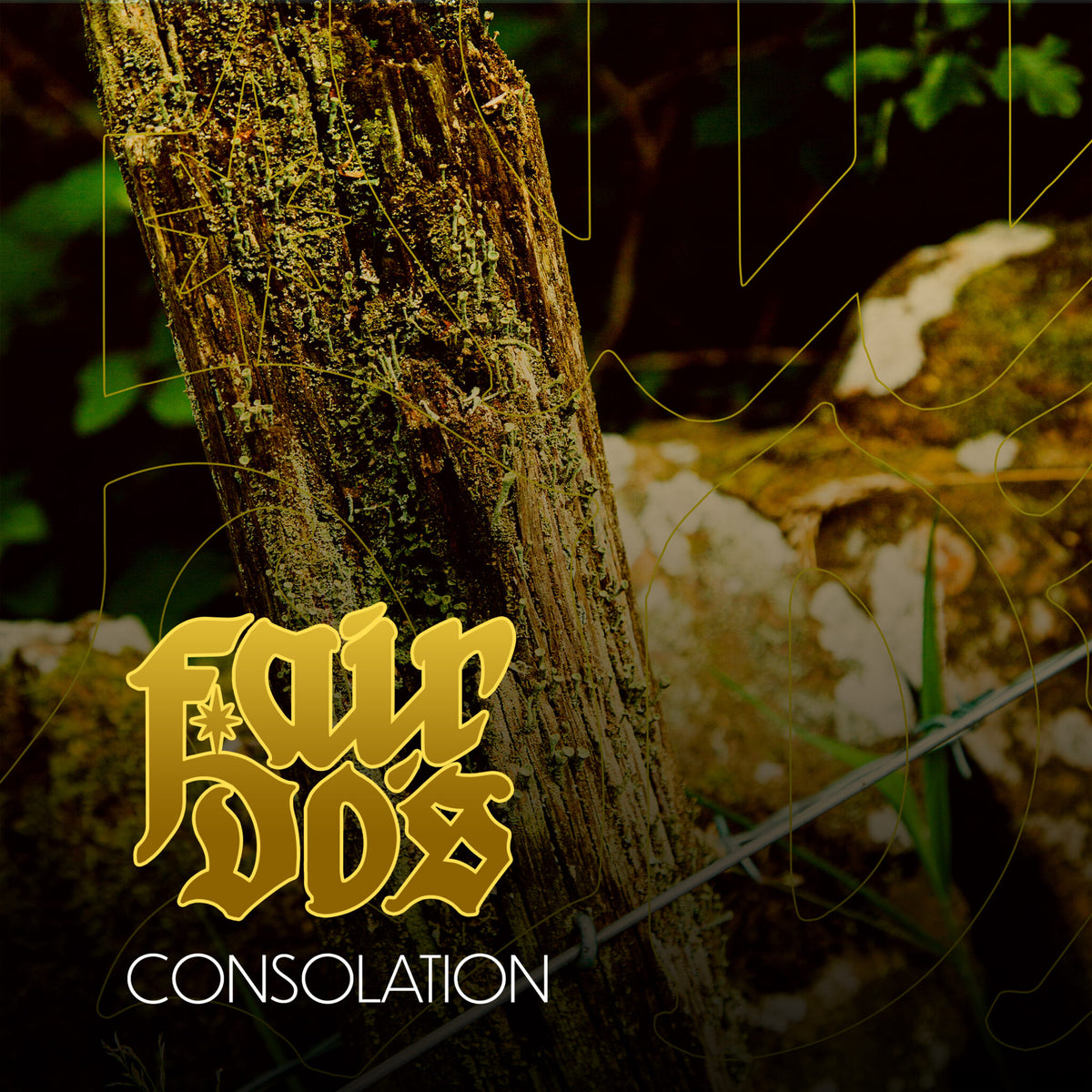 Fair Do's offer 'Consolation'