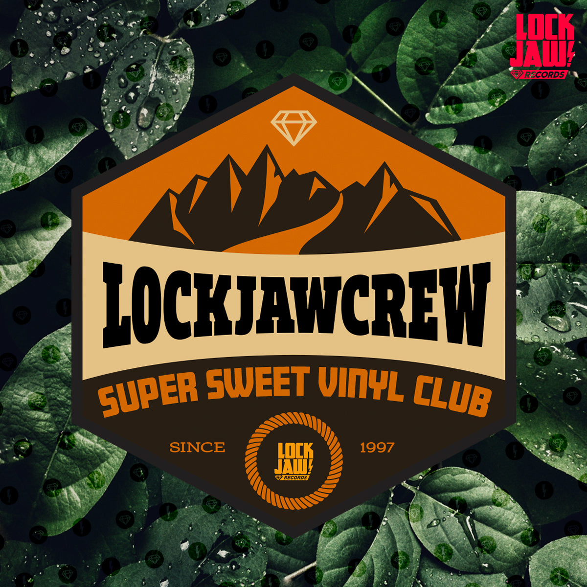Join Our Super Sweet Vinyl Club