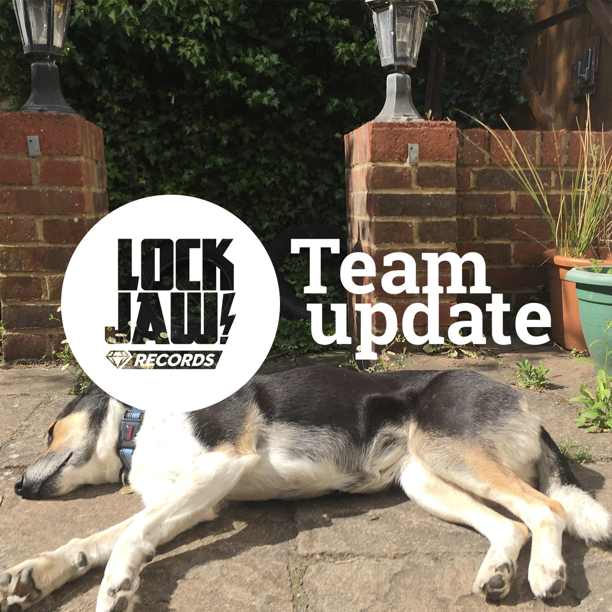 Lockjaw Team Update: May