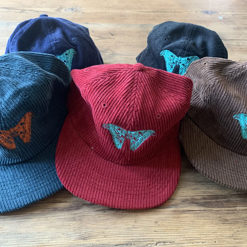 Sparkle Moth - Darko - Cord Cap