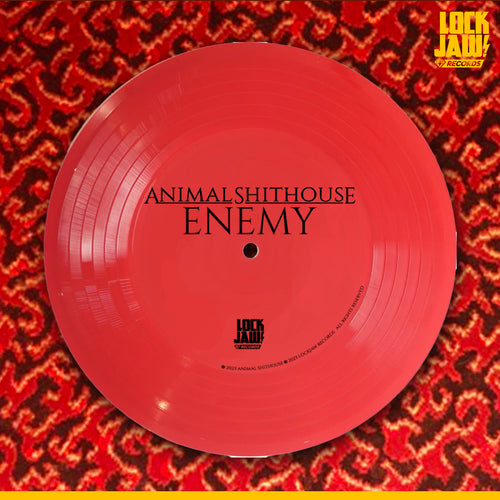 Who Taught You To Hate? - Animal Shithouse - Red Flexi-Disc