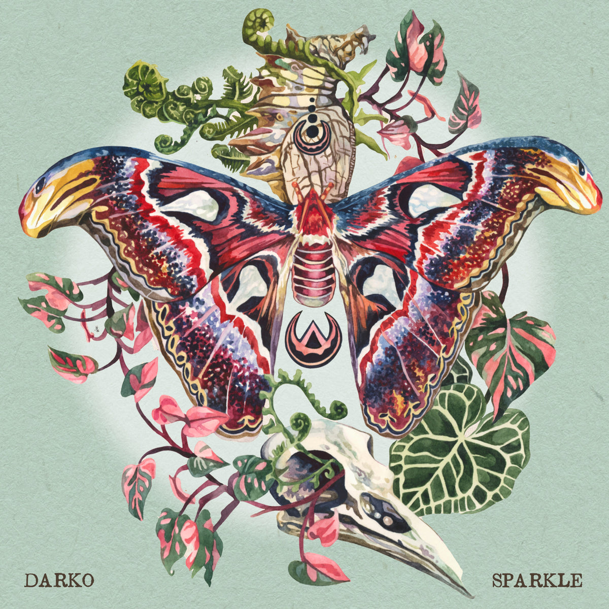 Sparkle - Darko - CD