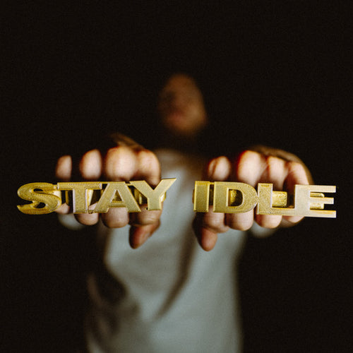 The Algorhythm - Stay Idle - 12" Vinyl