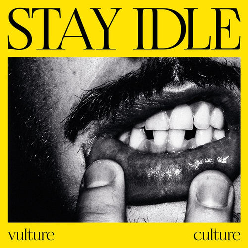Vulture Culture - Stay Idle - 12" Vinyl