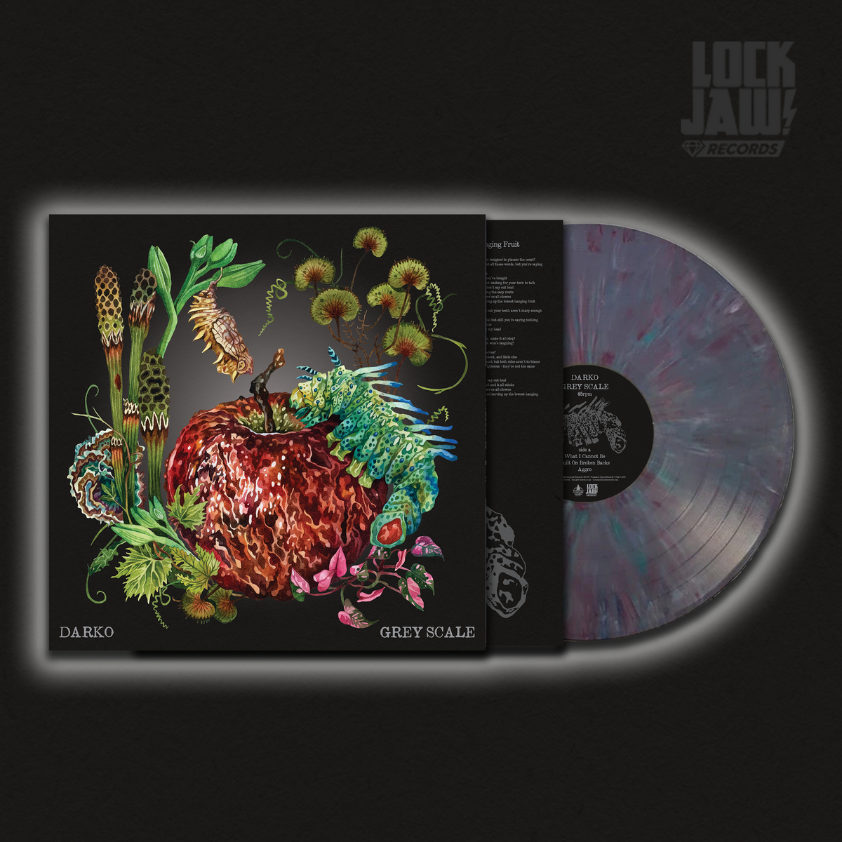 Greyscale - DARKO - 12" Vinyl