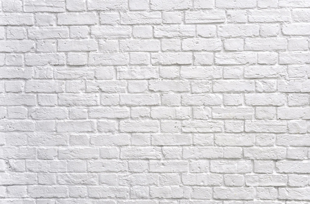 Misgivings – Hermitage — black-and-white-brick-wall-background-white-brick-wall-image-decoration-picture-white-brick-wall.jpg