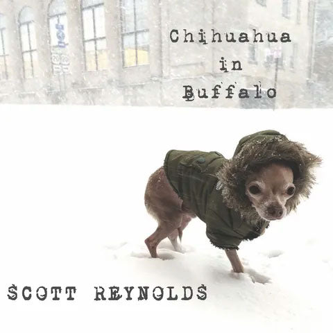 Chihuahua in Buffalo - Scott Reynolds - 12" Vinyl